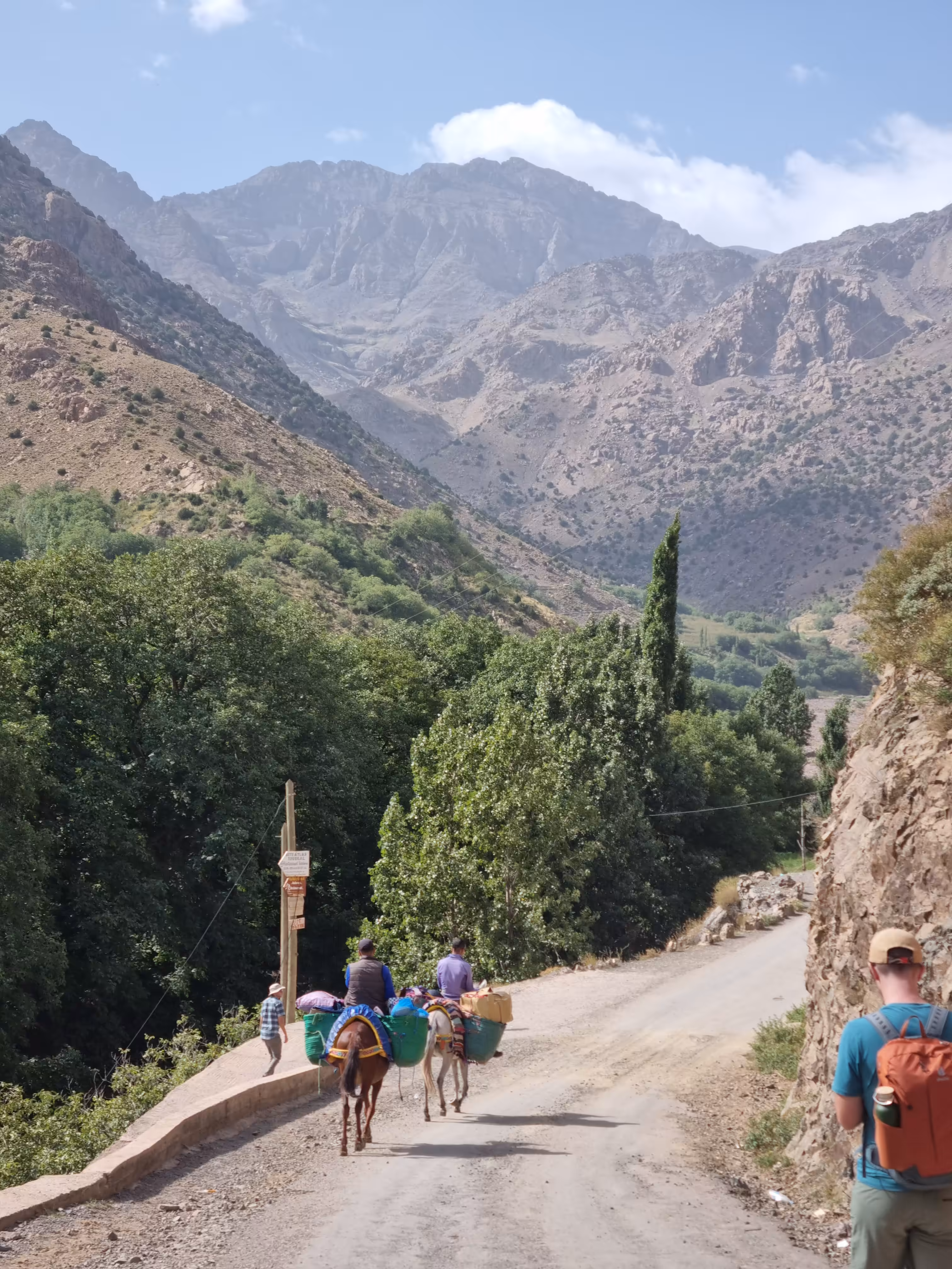 2-Day Atlas Trek & Authentic Berber Village Stay - Image 4